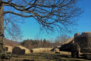 Burgruine Tannenberg